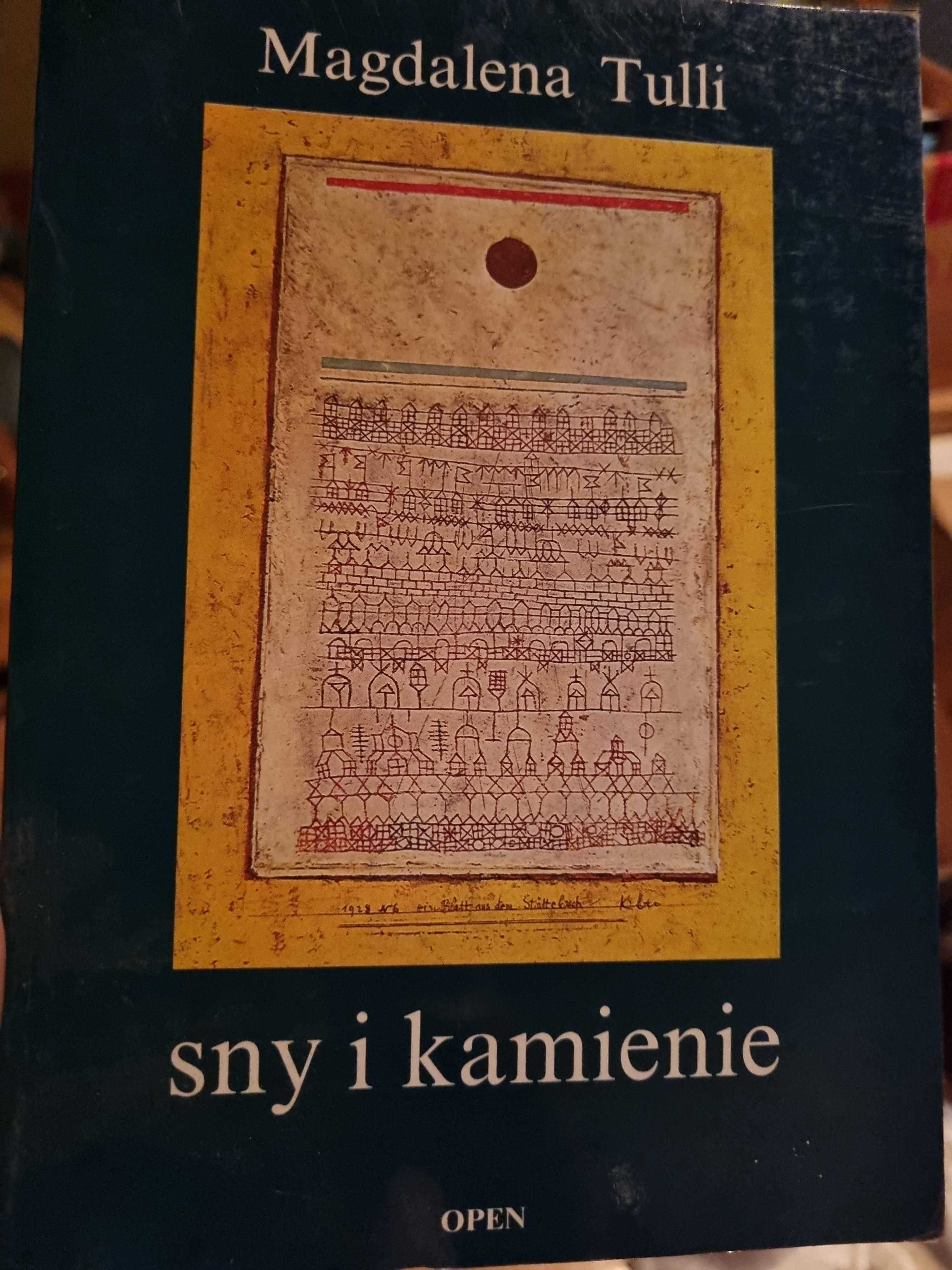 Sny i kamienie, Magdalena Tulli, 1995r