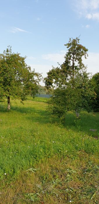 Будинок, літня кухня, 1 га землі з виходом до річки, с. Іванків