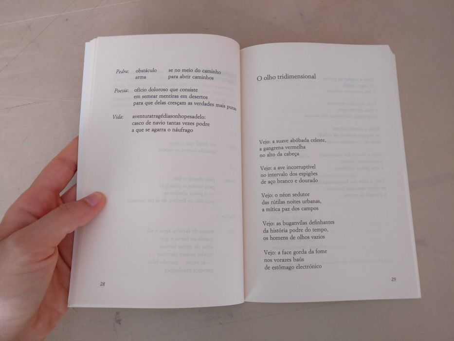 Auto-Retrato e The Serial Killer de João Melo