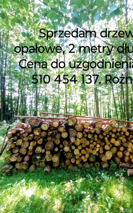 Sprzedam drzewo opałowe Rożnów