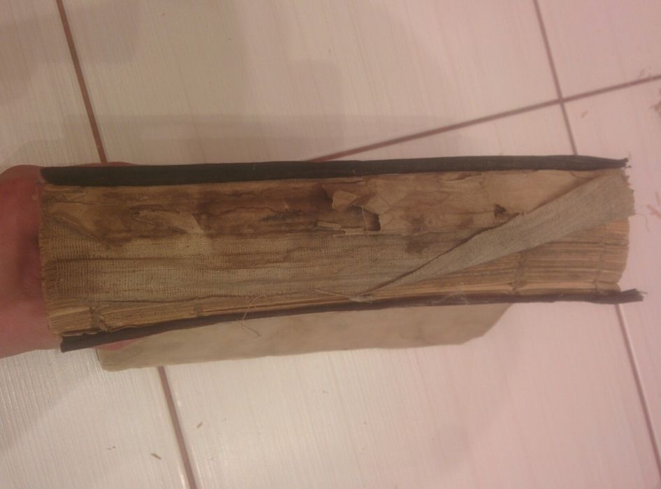 Mon journal 1905 торг