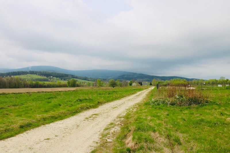 Działka Budowlana w Świeradowie Zdroju 1500 m2