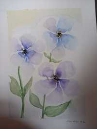 Akwarele, niebieskie kwiaty