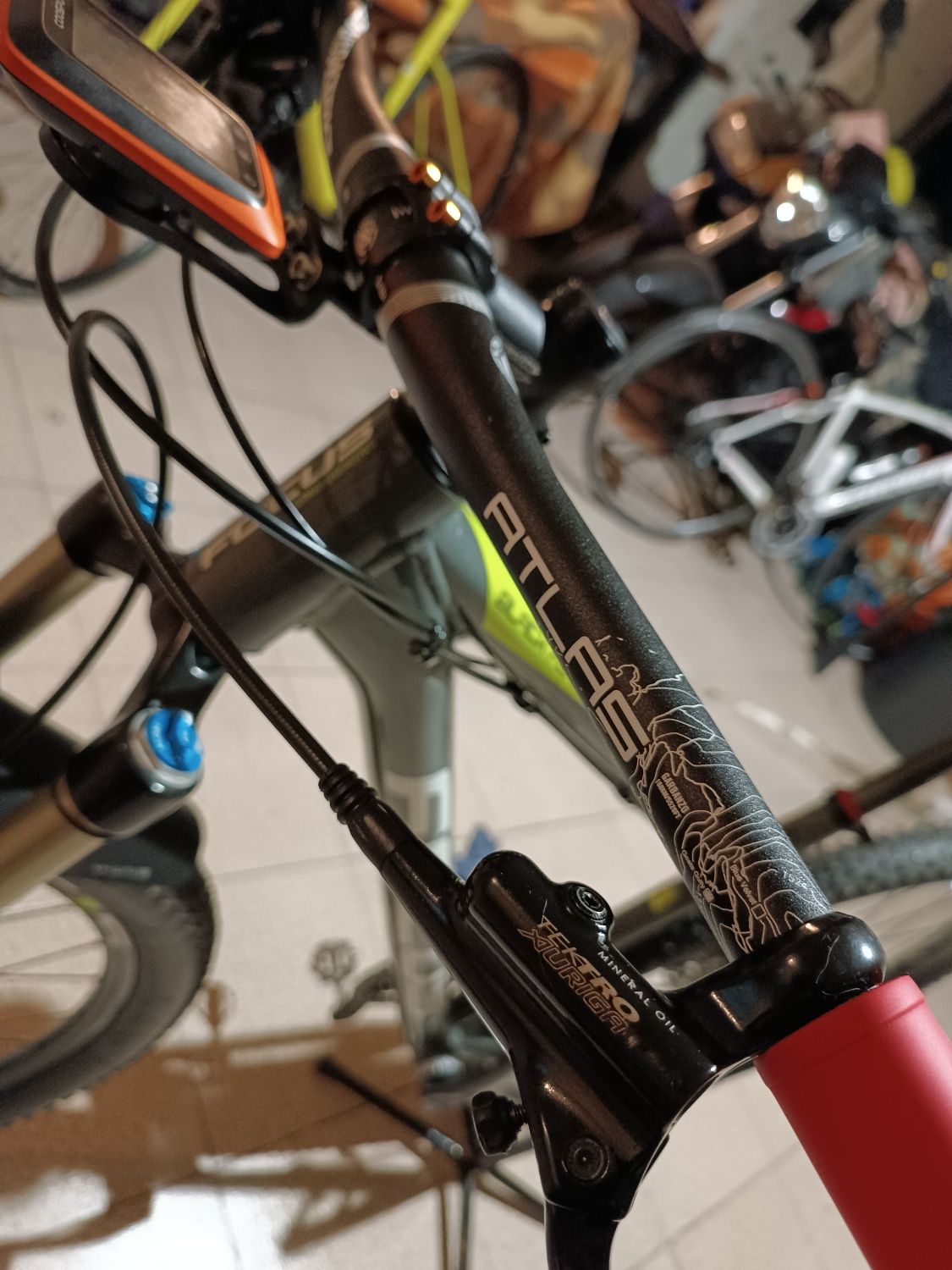 Bicicleta Focus Blackforest LTD