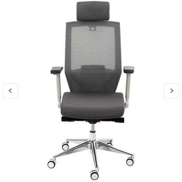 Krzesło Biurkowe Ergonomiczne BS10 (BS10)