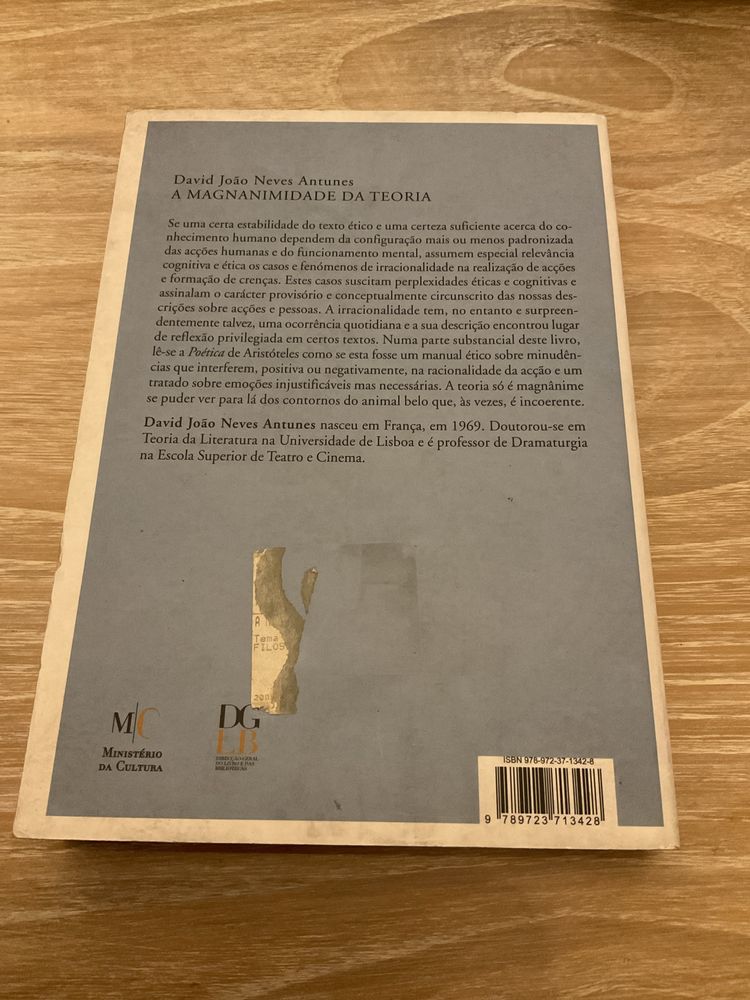A Magnanimidade da Teoria - David João Neves Antunes