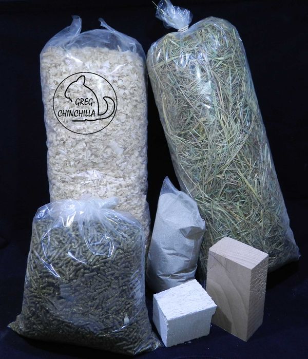 Szynszyla Szynszyl FIOLET fioletowy + wyprawka