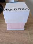 Anel Pandora em caixa
