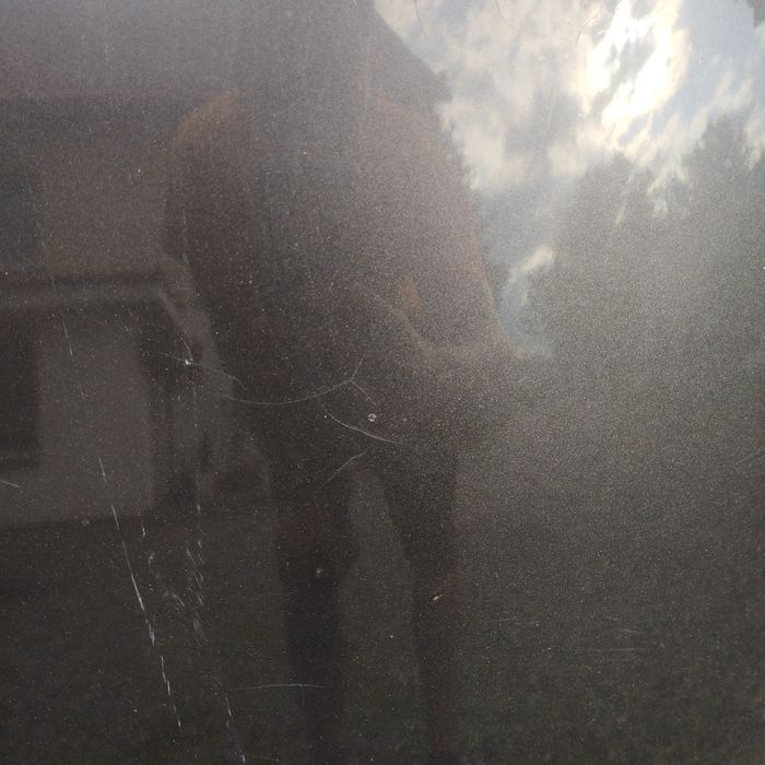 Audi a3 8p 3 drzwi duży grill xenon maska lz7l