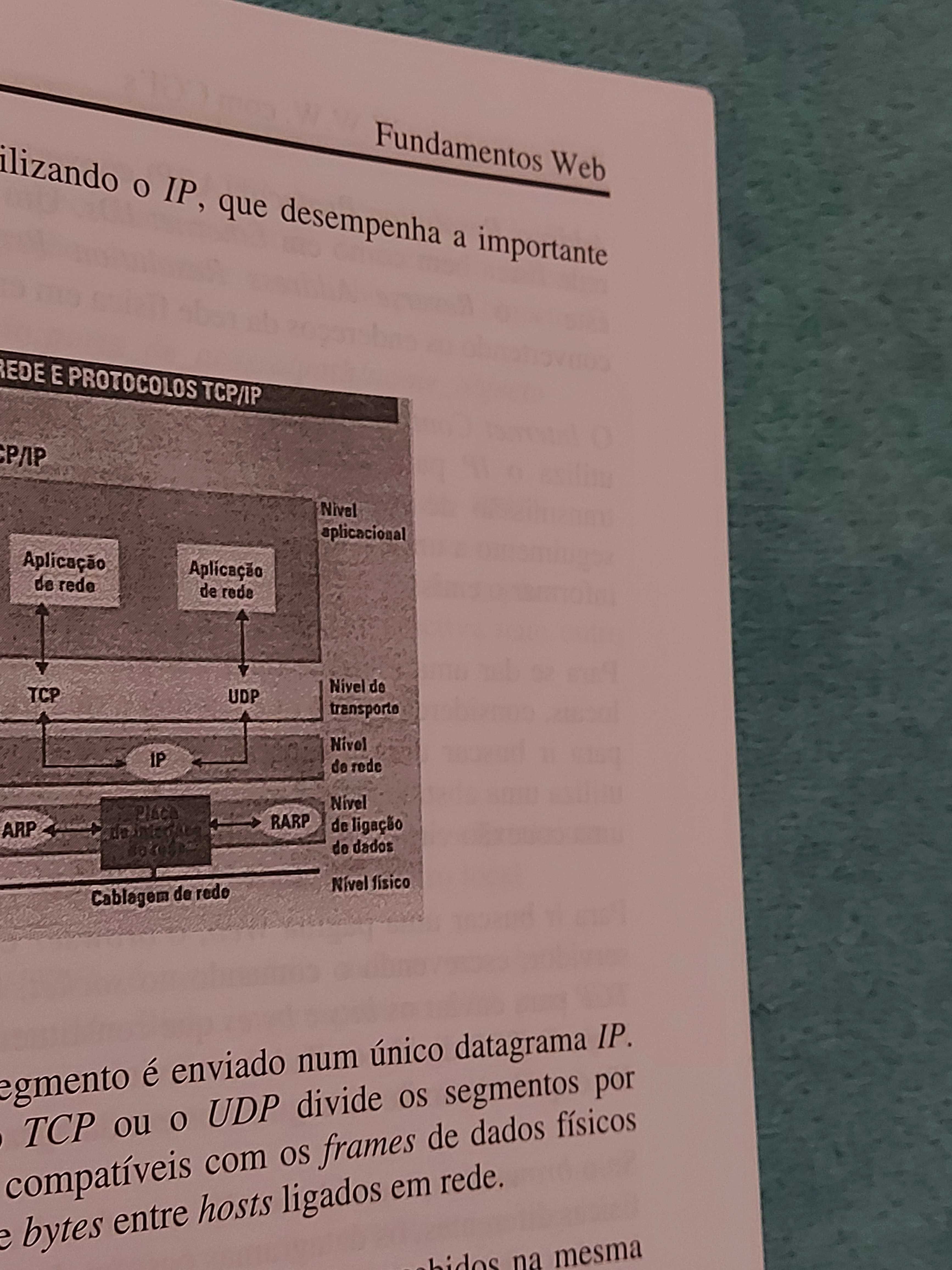 Livro "Programação na World Wide Web com CGIs" c/ Portes