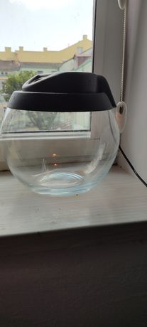 Szklana kula dla ryb