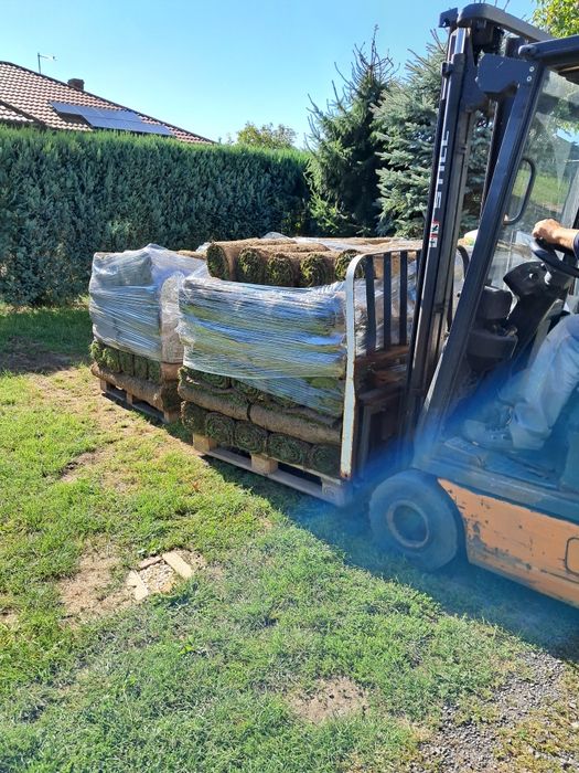 Producent Trawa z rolki POZNAŃ