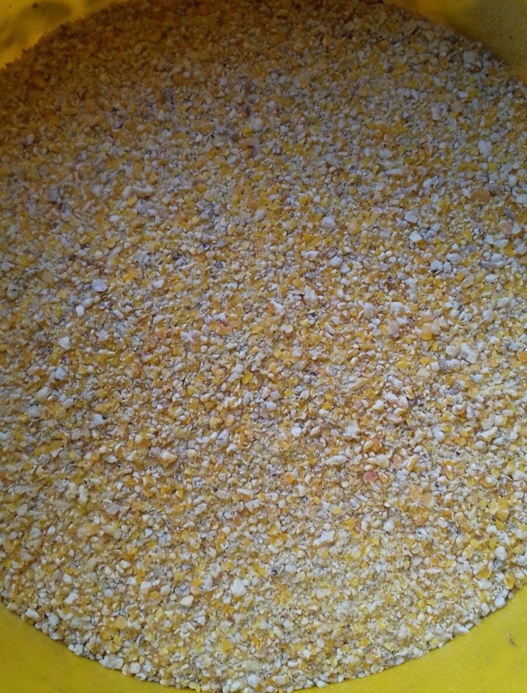 Sruta pszenno kukurydziana mieszanka lub cale ziarno