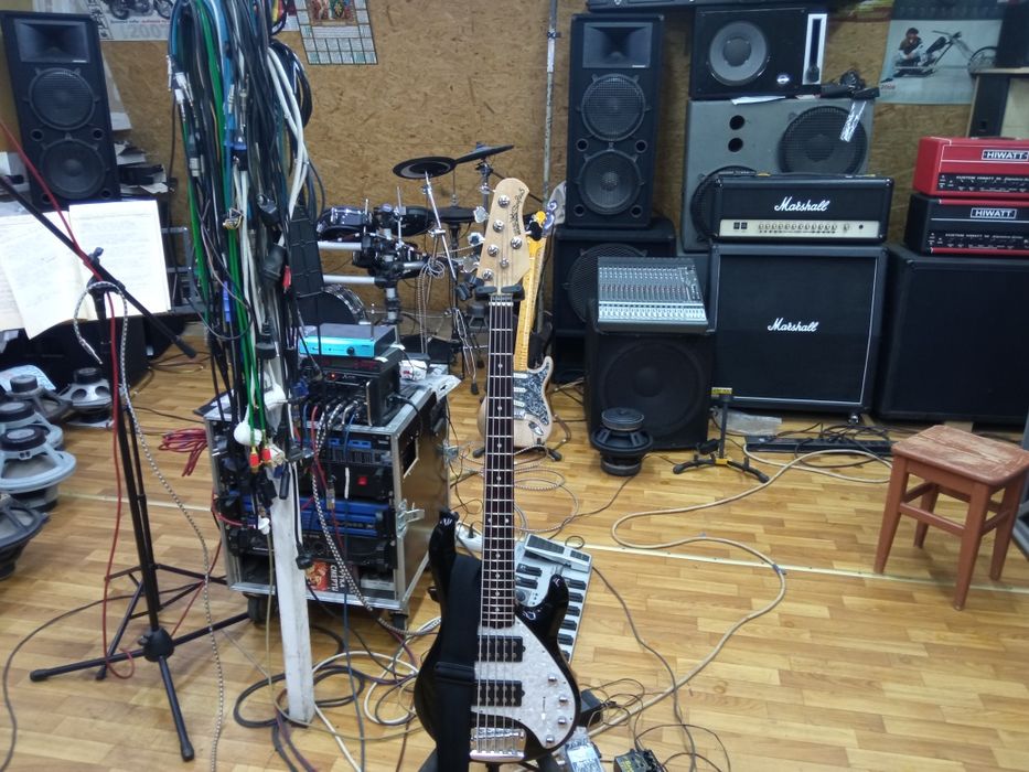 Гітарист, клавішник, скрипаль, духовик, ударні