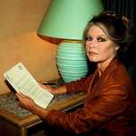 Carta a Brigitte Bardot