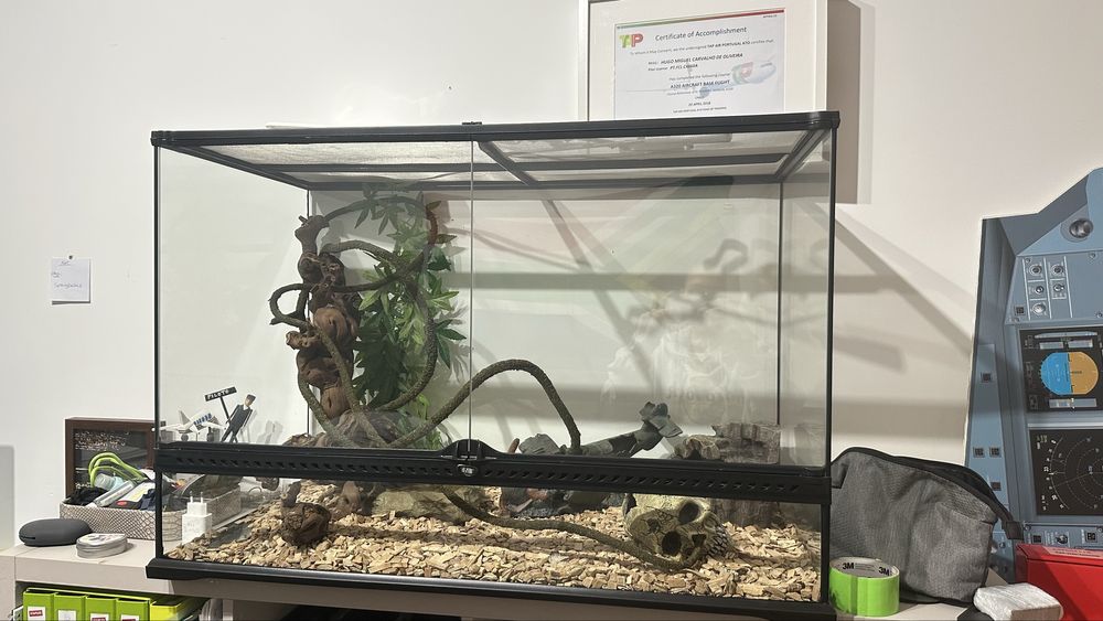 Cobra + 2 terrarios completos exoterra