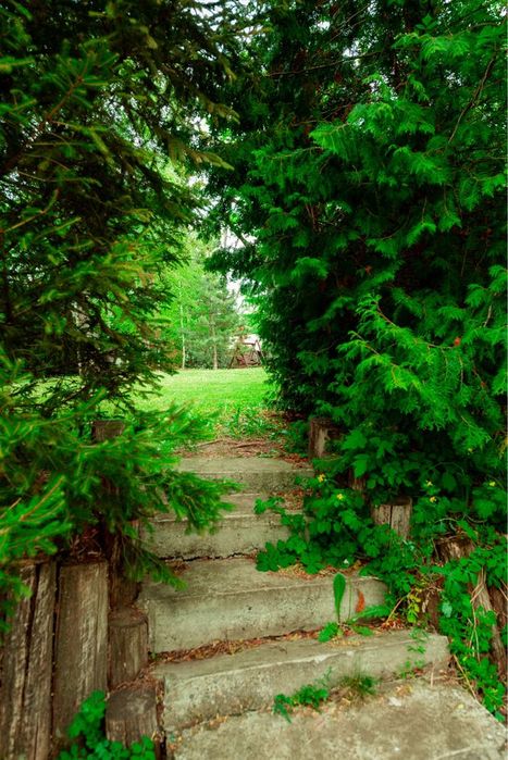 Продам готовый бизнес на берегу Северского Донца, Коробовы Хутора