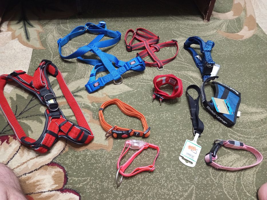 Собаки: ошейники всё для собак.