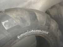 Pneus florestais