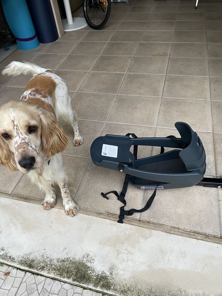 Suporte de bicicleta para cachorro -buddy rider