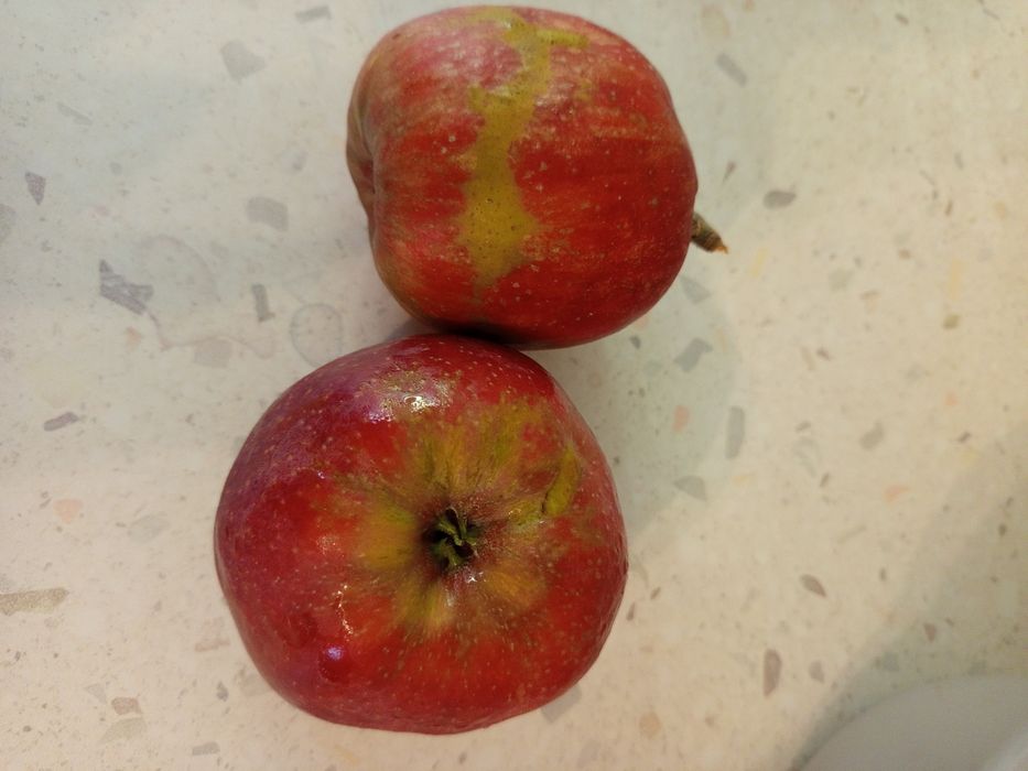 Wysyłka jabłka 2 gatunku cydr sok ciasto 15kg