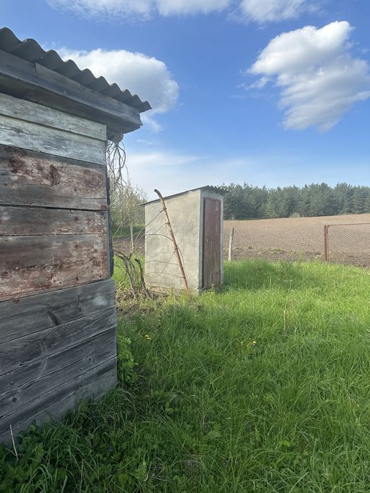 Земельна ділянка біля лісу в с. Путренці
