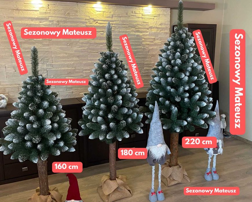 Sosna diamentowa na pniu 220 cm Choinka sztuczna 180 cm 160 cm choinki