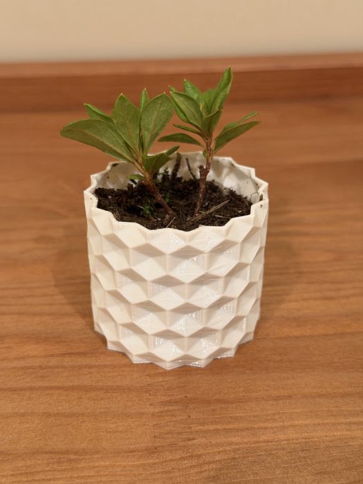 Vaso geométrico moderno impresso em PETG