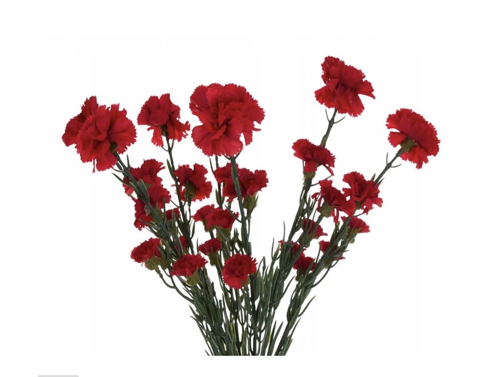 Sztuczne goździki kwiaty bukiet 45cm czerwone
