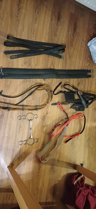 Sprzęt jezdziecki oglowie, puszorek, wrdzidlo