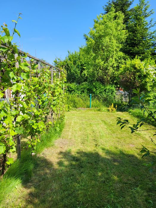 Działka rekreacyjna ROD "Podzamcze" Wałbrzych