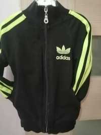 Bluza Adidas oryginalna 74r