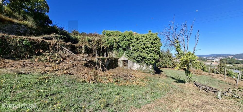 Quinta/Herdade em Tarouquela, Cinfães