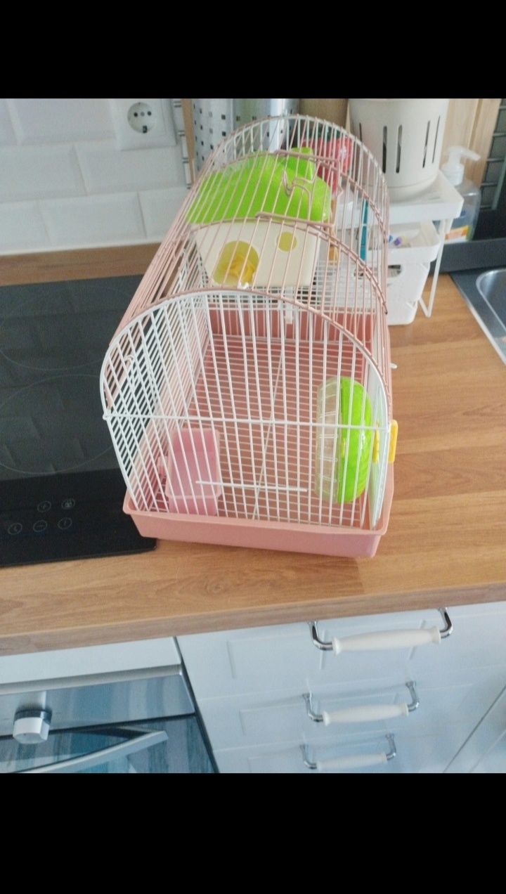 Gaiola Hamster com acessórios