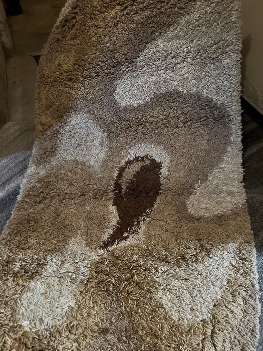 Dywan z dlugim wlosiem