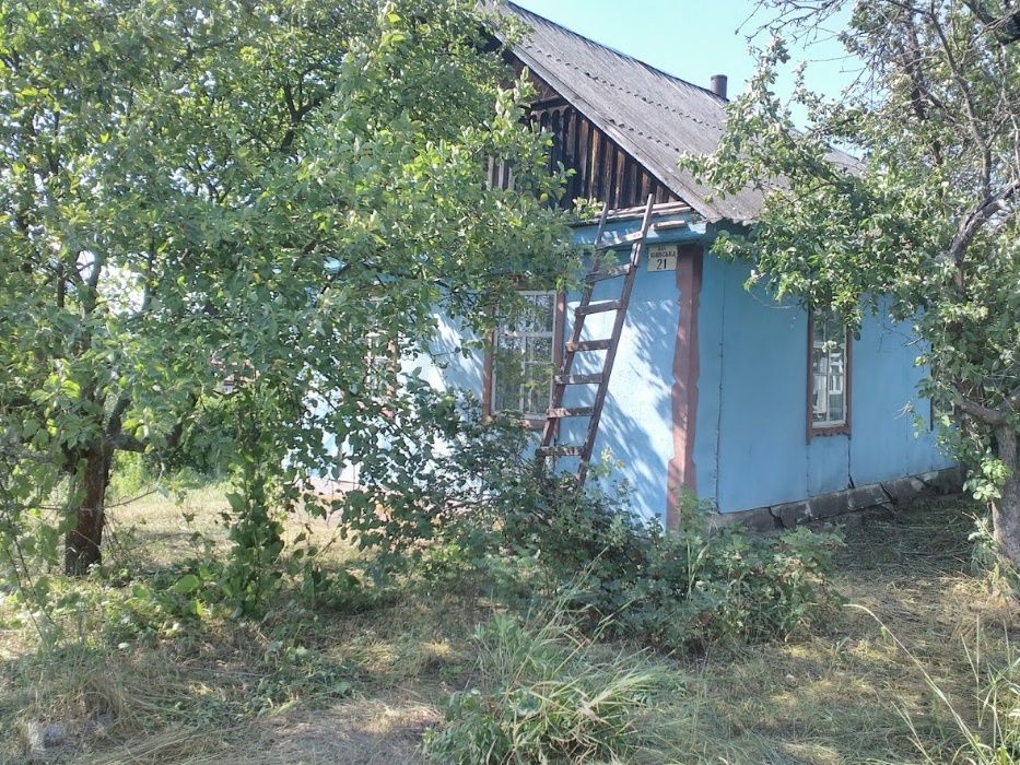 Будинок та земельна ділянка в с. Царівка Житомирської області.