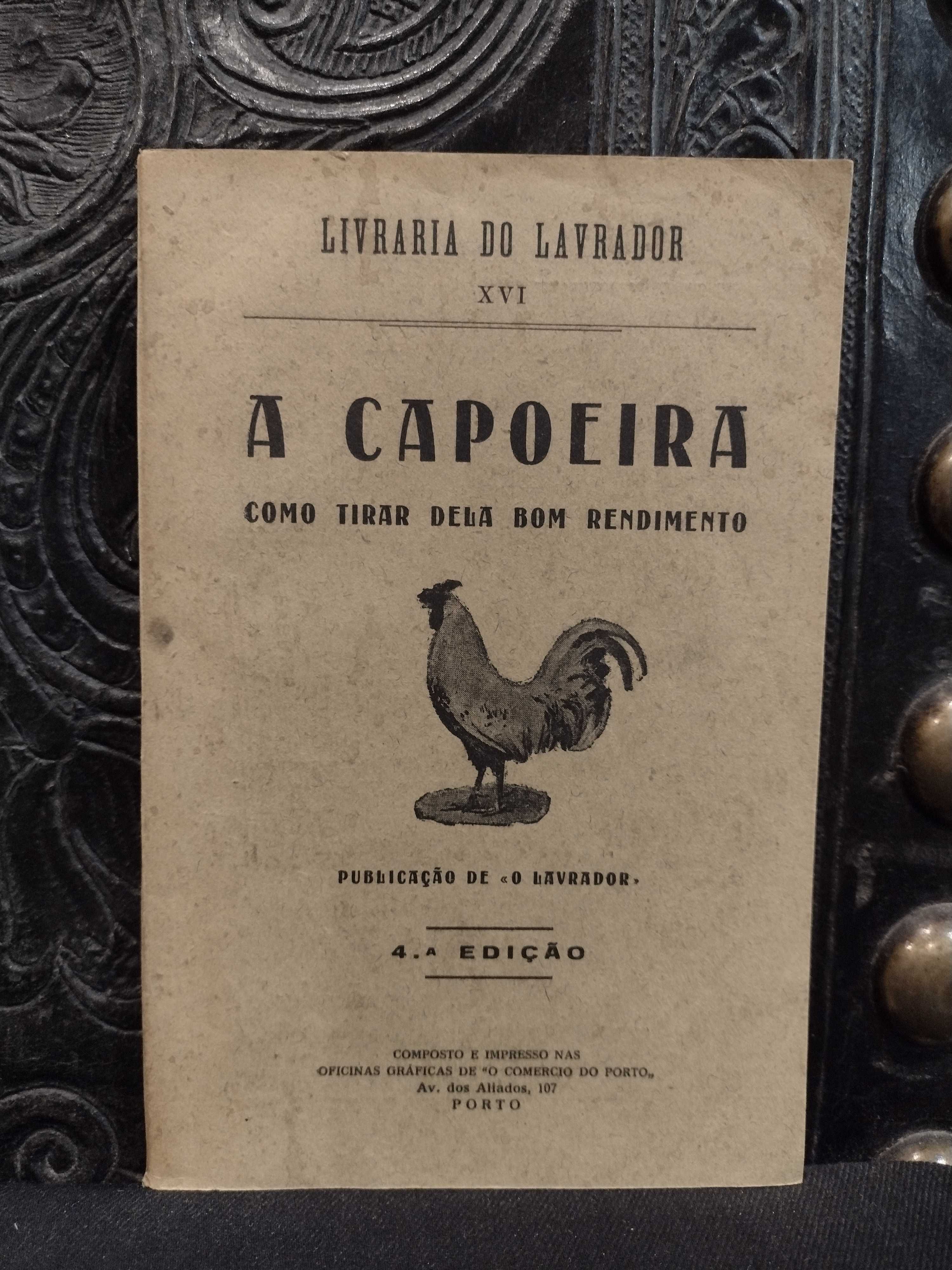 A Capoeira como tirar dela bom rendimento
