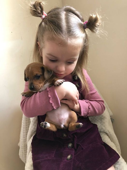 Малюки метиси такси