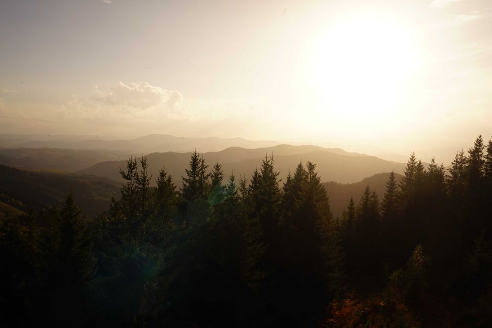 Продам Землю Карпаты Косовский район Ивано-Франковска область