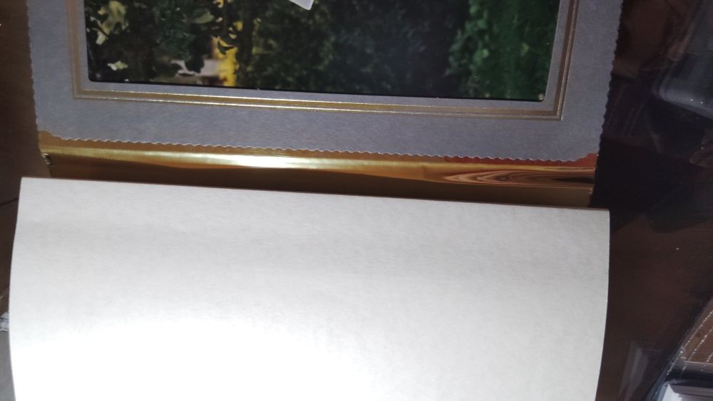 Album na zdjęcia weselne