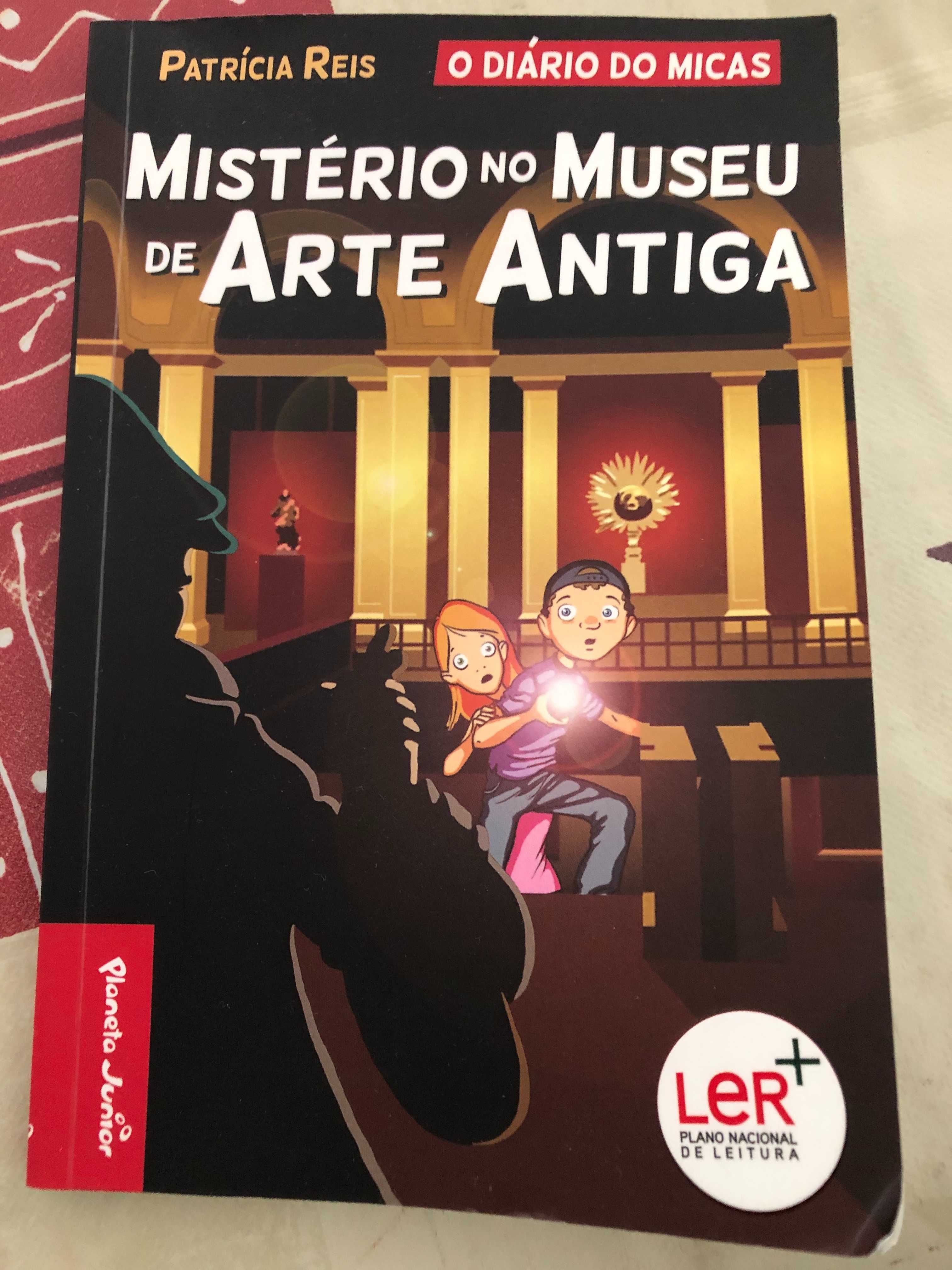 O Diário de Micas - Mistério no museu de arte antiga