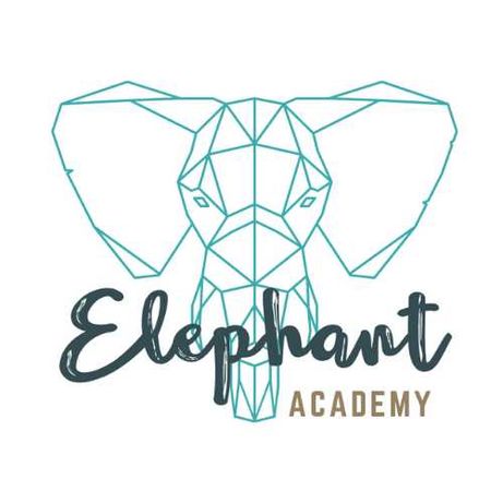 Elephant Academy korepetycje z DOJAZDEM/ONLINE
