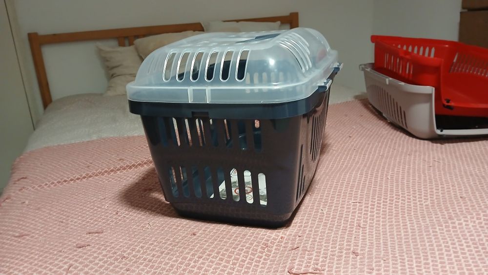 Caixa transportadora para animais Nova