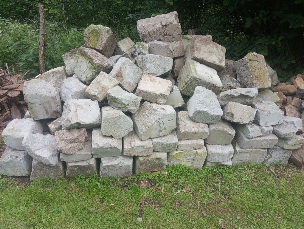 Pilne Oddam za darmo pustaki