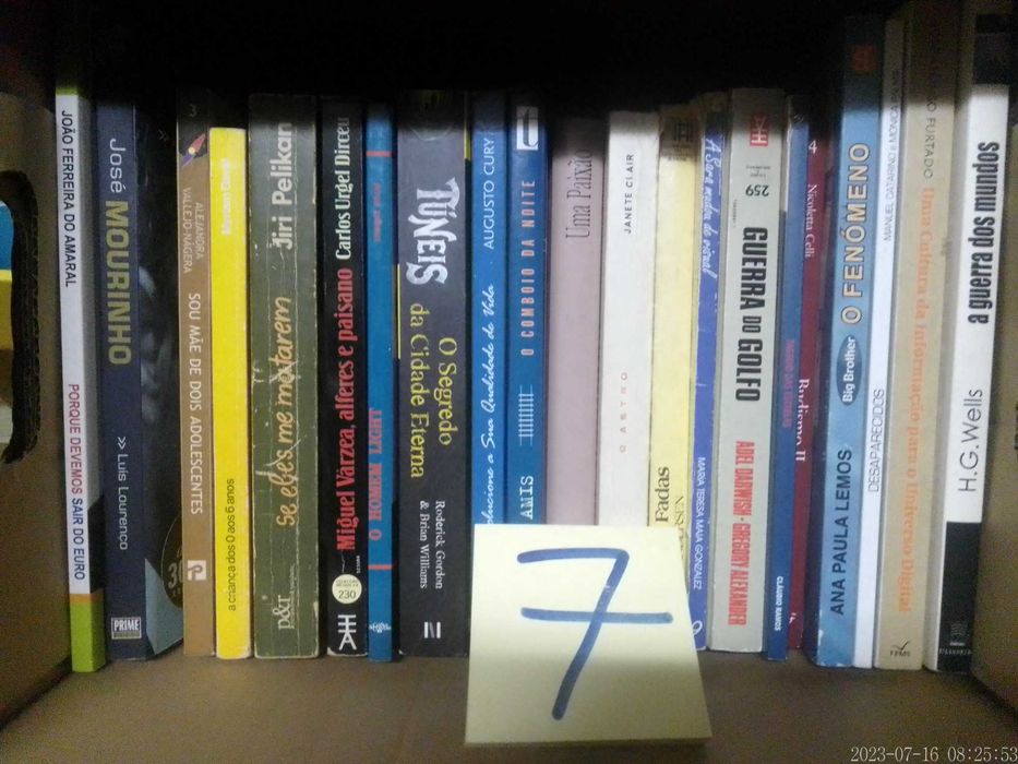 Livros VENDIDOS INDIVIDUALMENTE Lote 7 - Vários Preços