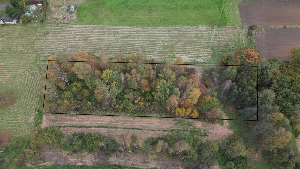 Duża działka w zielonej części Wodzisławia Śląskiego – 3411 m²