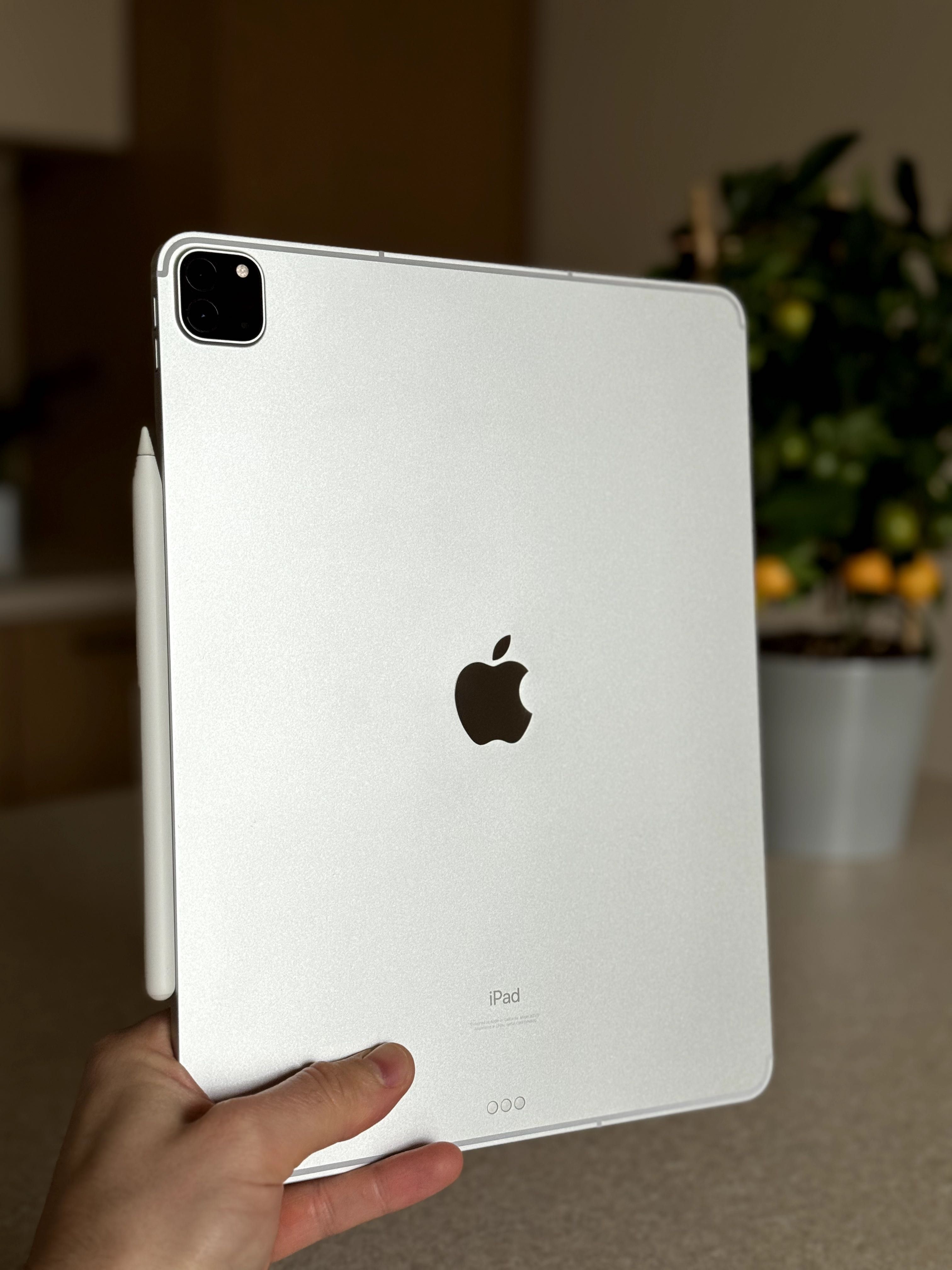 Apple iPad Pro 12.9 6gen M2