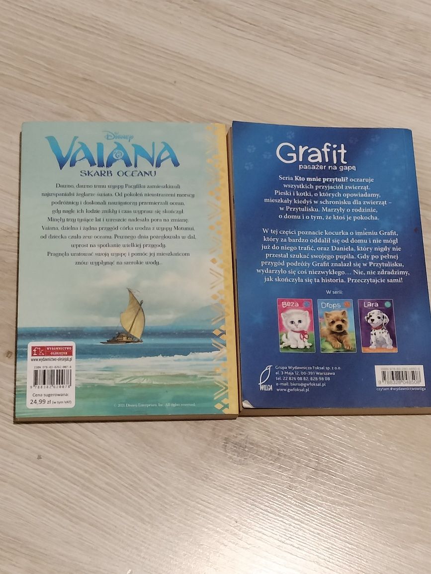 Książka dla dzieci "Grafit pasażer na gapę"