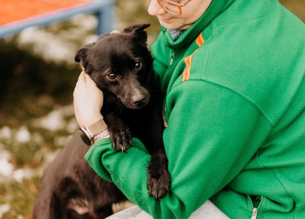 Malutki, nieco nieśmiały Mafin poleca się do adopcji!!!