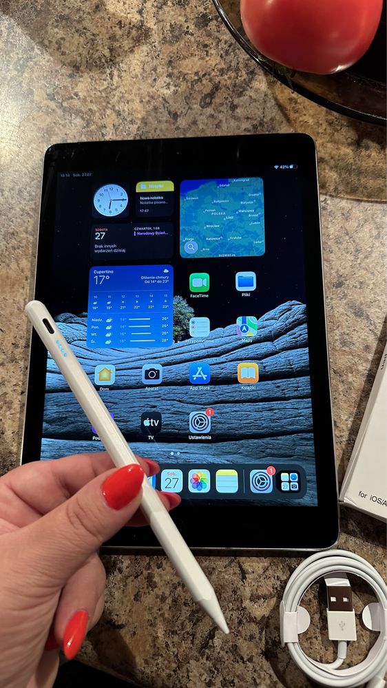 Tablet iPad Apple —PRO — 10.5” - Touch ID + NOWY RYSIK